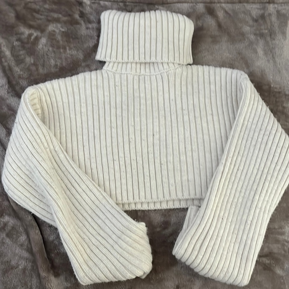 Zara cropped high collar sweater